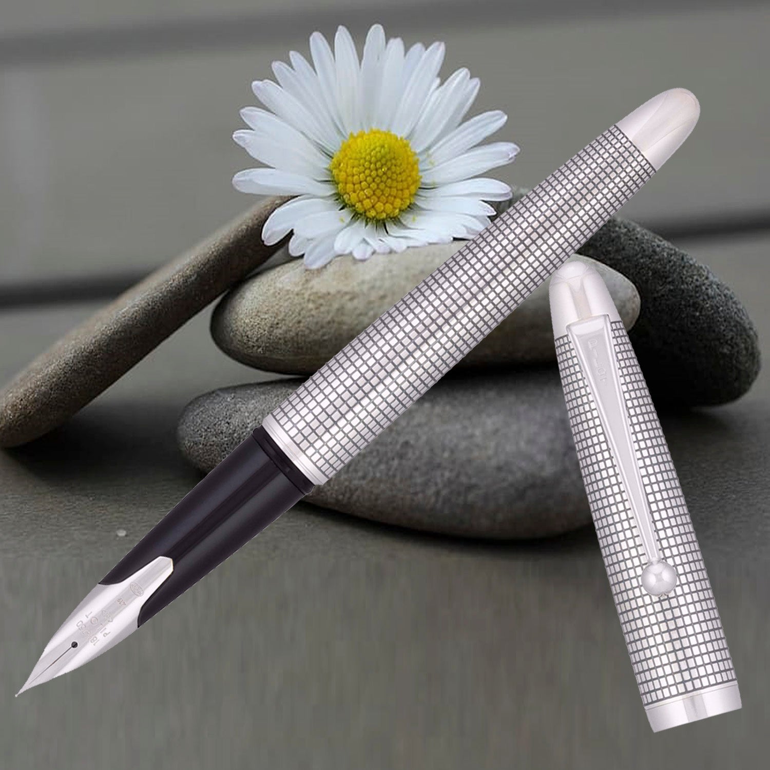 Pilot Sterling Silver Koushi CT Fountain Pen – OnlineMantra.in