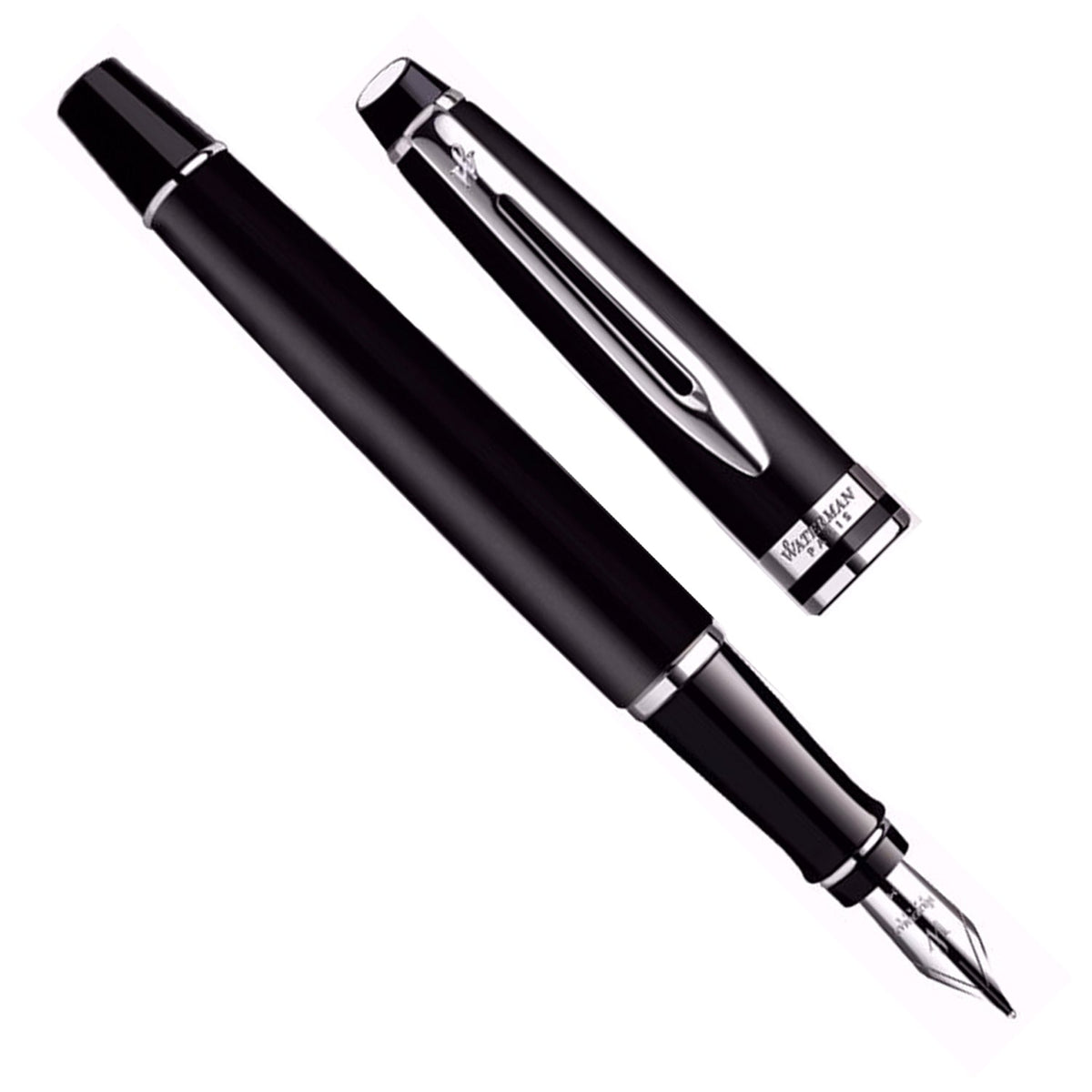 Waterman Expert Matte Black CT Fountain Pen