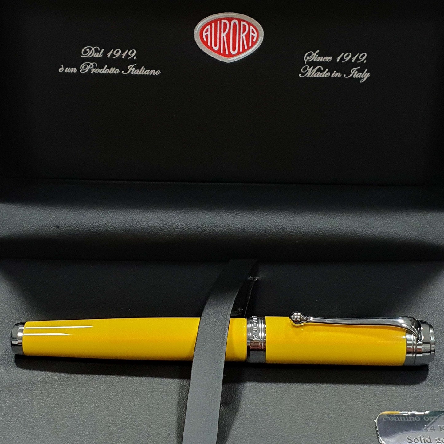 Aurora Talentum Yellow 14K Gold CT Fountain Pen D11-Y
