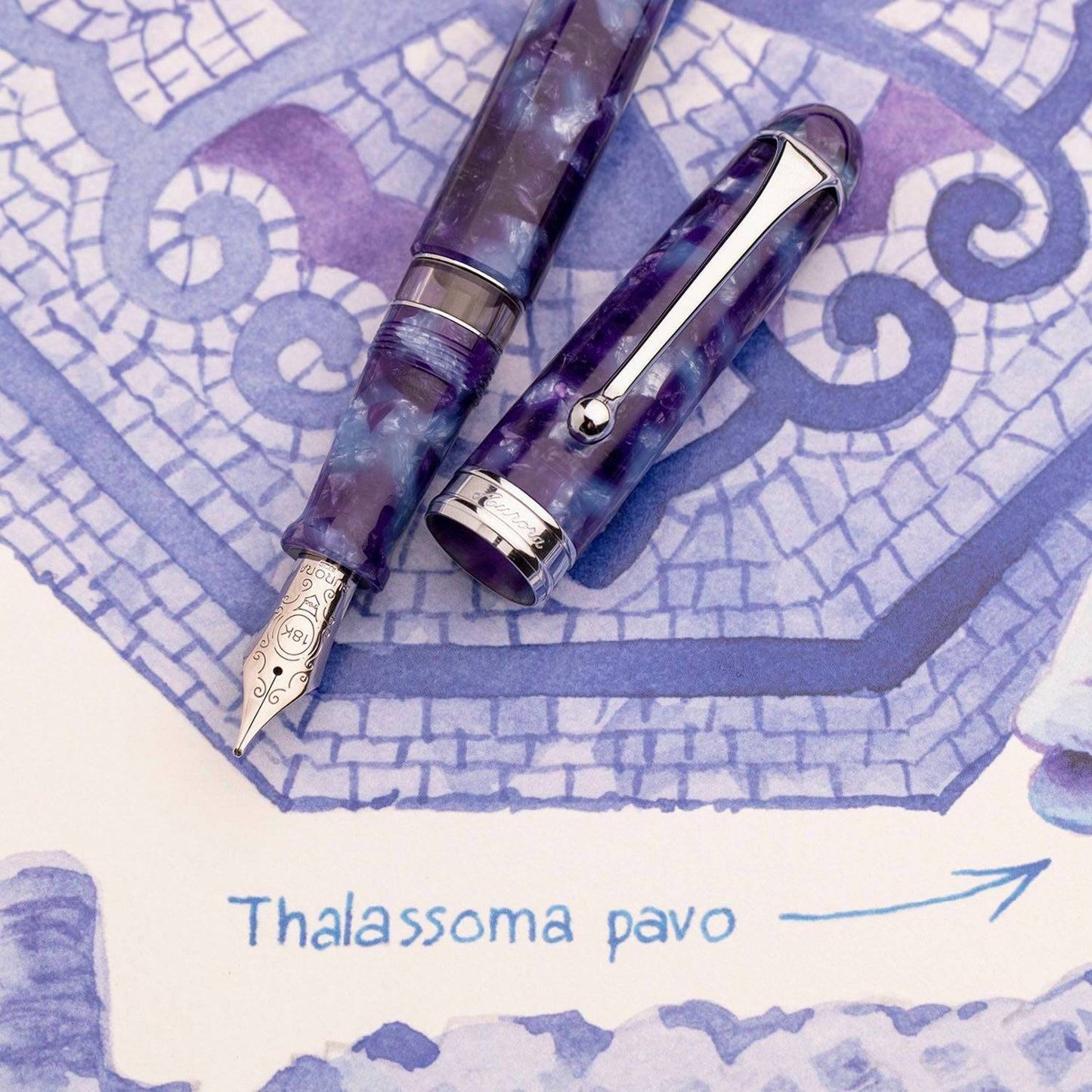 Aurora 88 Baia CT Fountain Pen
