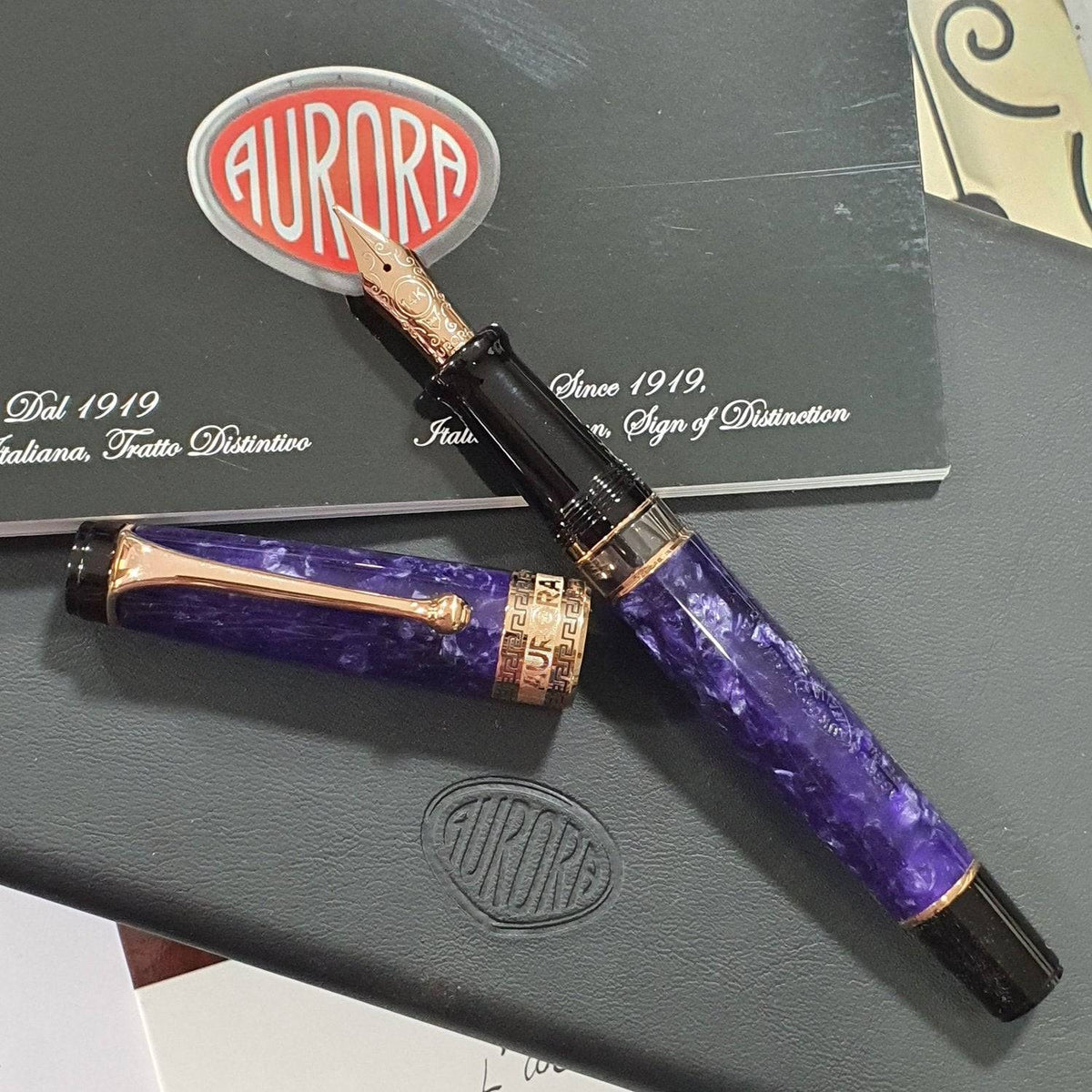 Aurora Optima Purple 14K Gold GT Fountain Pen