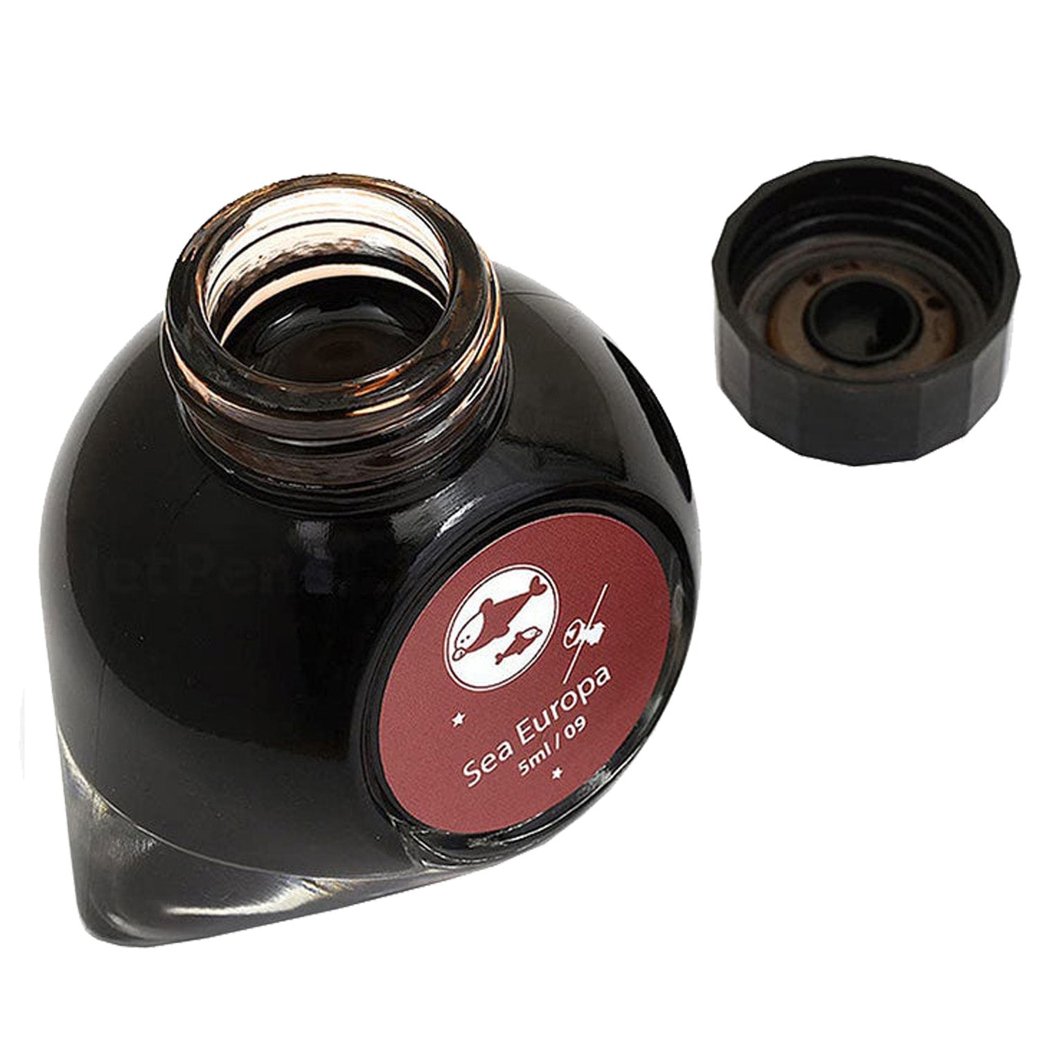 Colorverse Mini Ink Bottle (Sea Europa - 5 ML) M-9