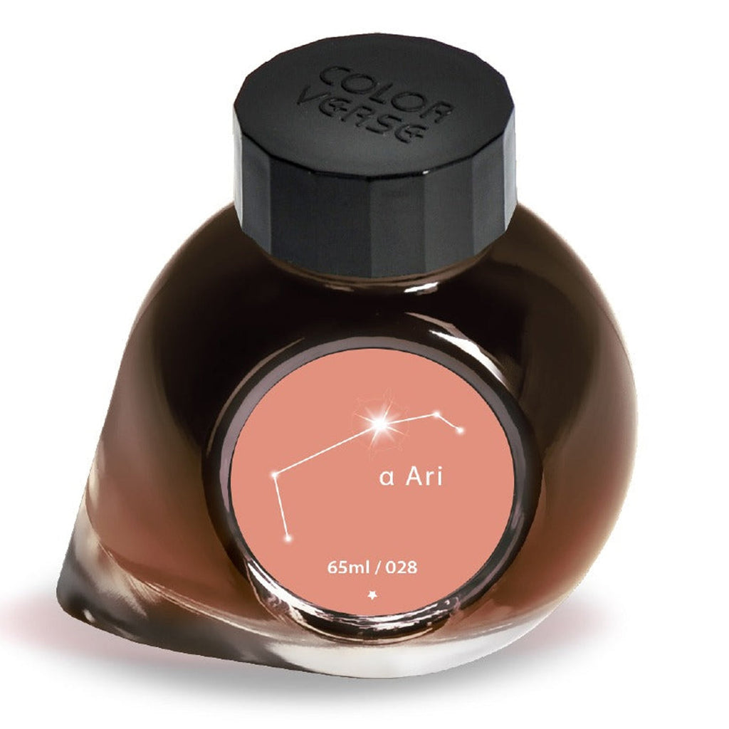 Colorverse Project Ink Bottle (A Ari - 65 ML) P-28