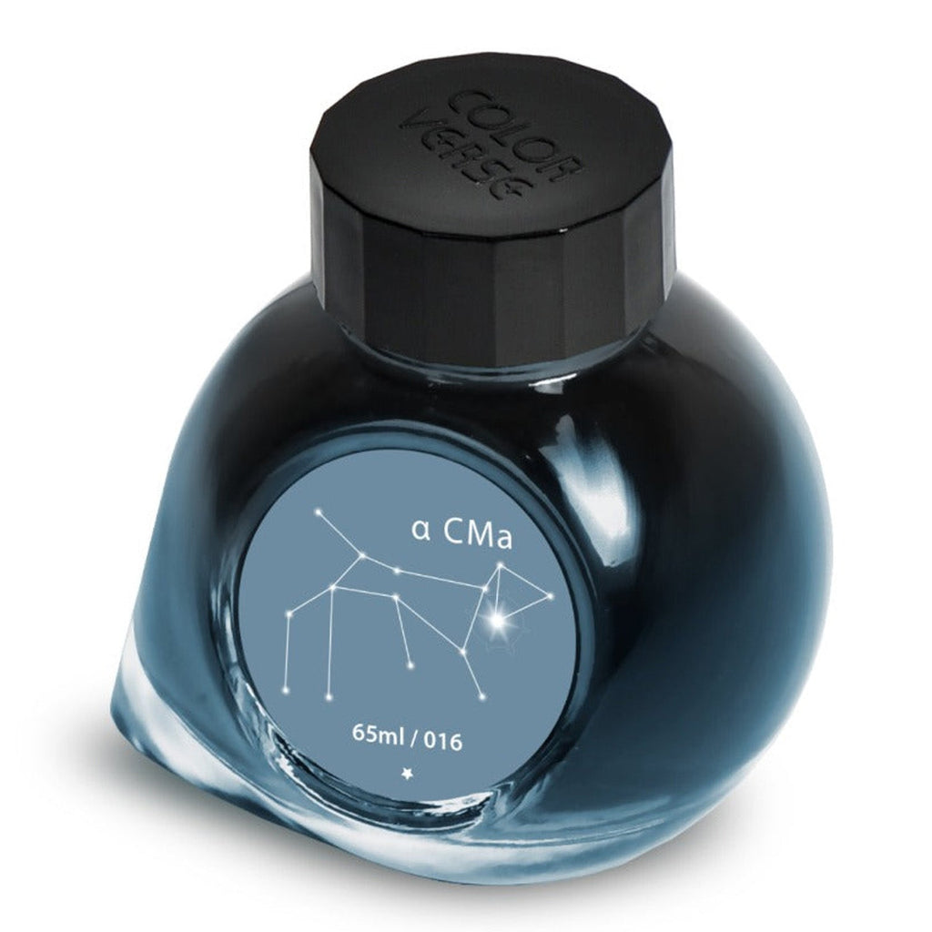 Colorverse Project Ink Bottle (A Cma - 65 ML) P-16