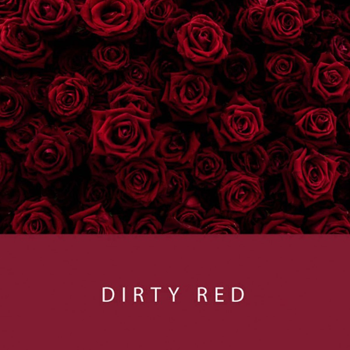 Colorverse Project Ink Bottle (Dirty Red - 65 ML) P-95