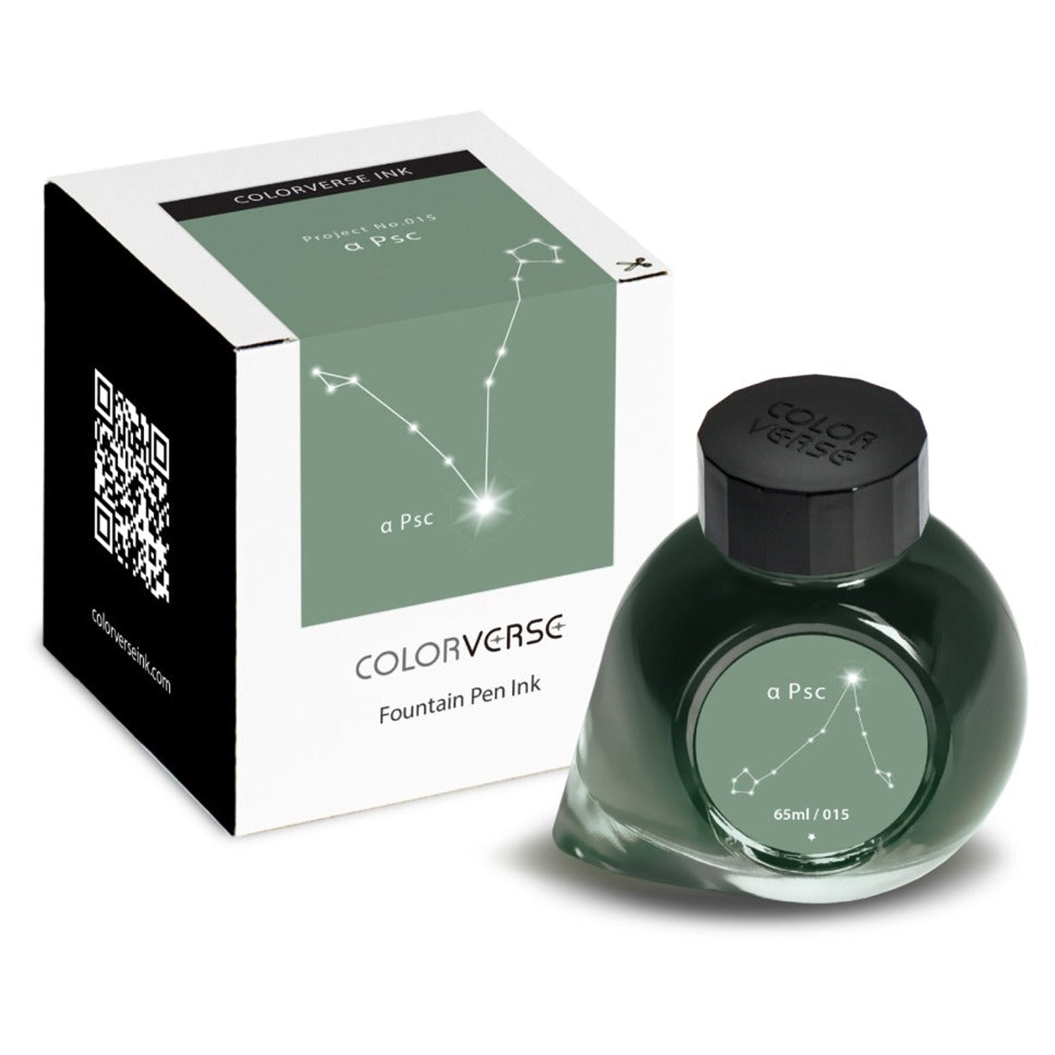 Colorverse Project Ink Bottle (A Psc - 65 ML) P-15