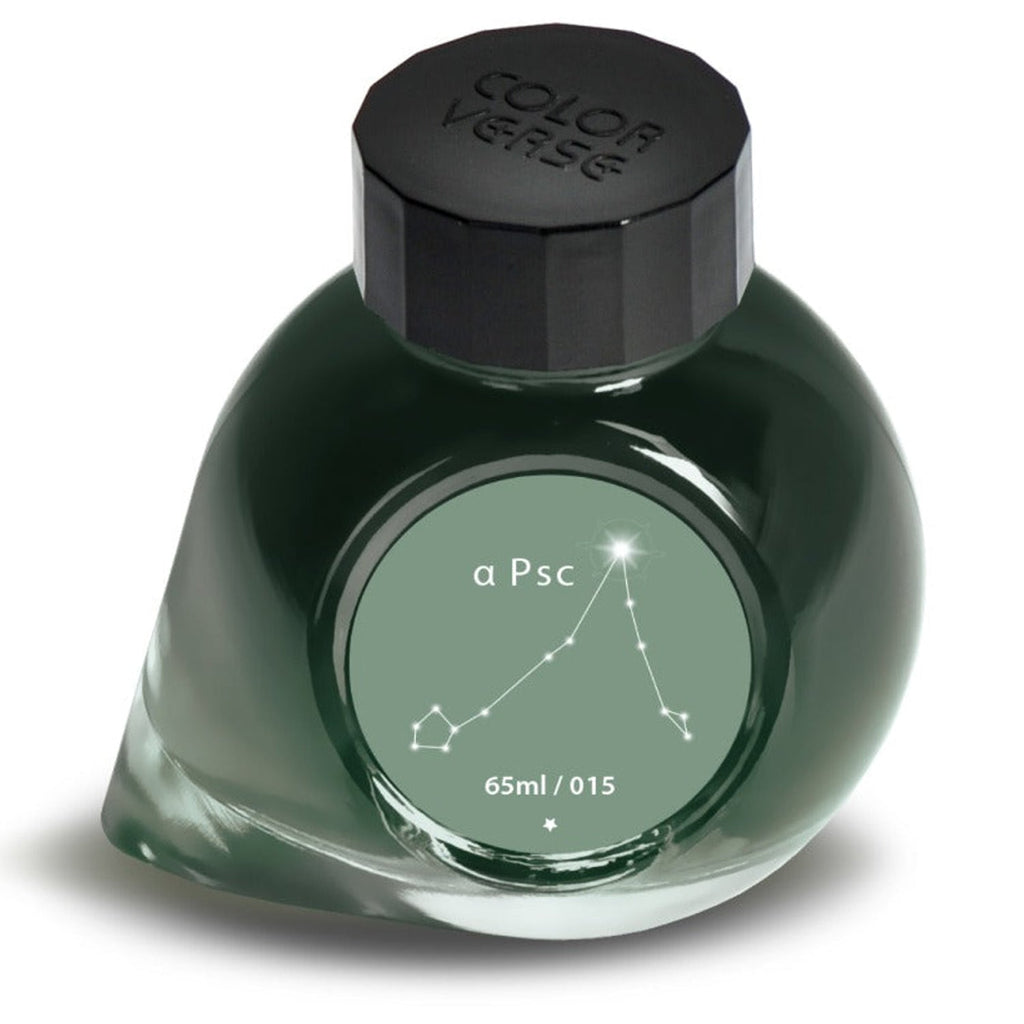 Colorverse Project Ink Bottle (A Psc - 65 ML) P-15