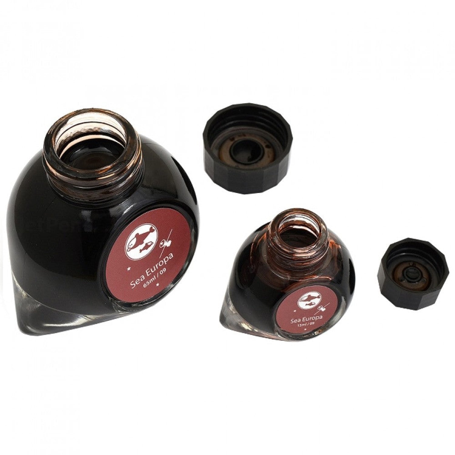 Colorverse Spaceward Season 1 Ink Bottle Set (Sea Europa - 65 ML/15 ML) S-9