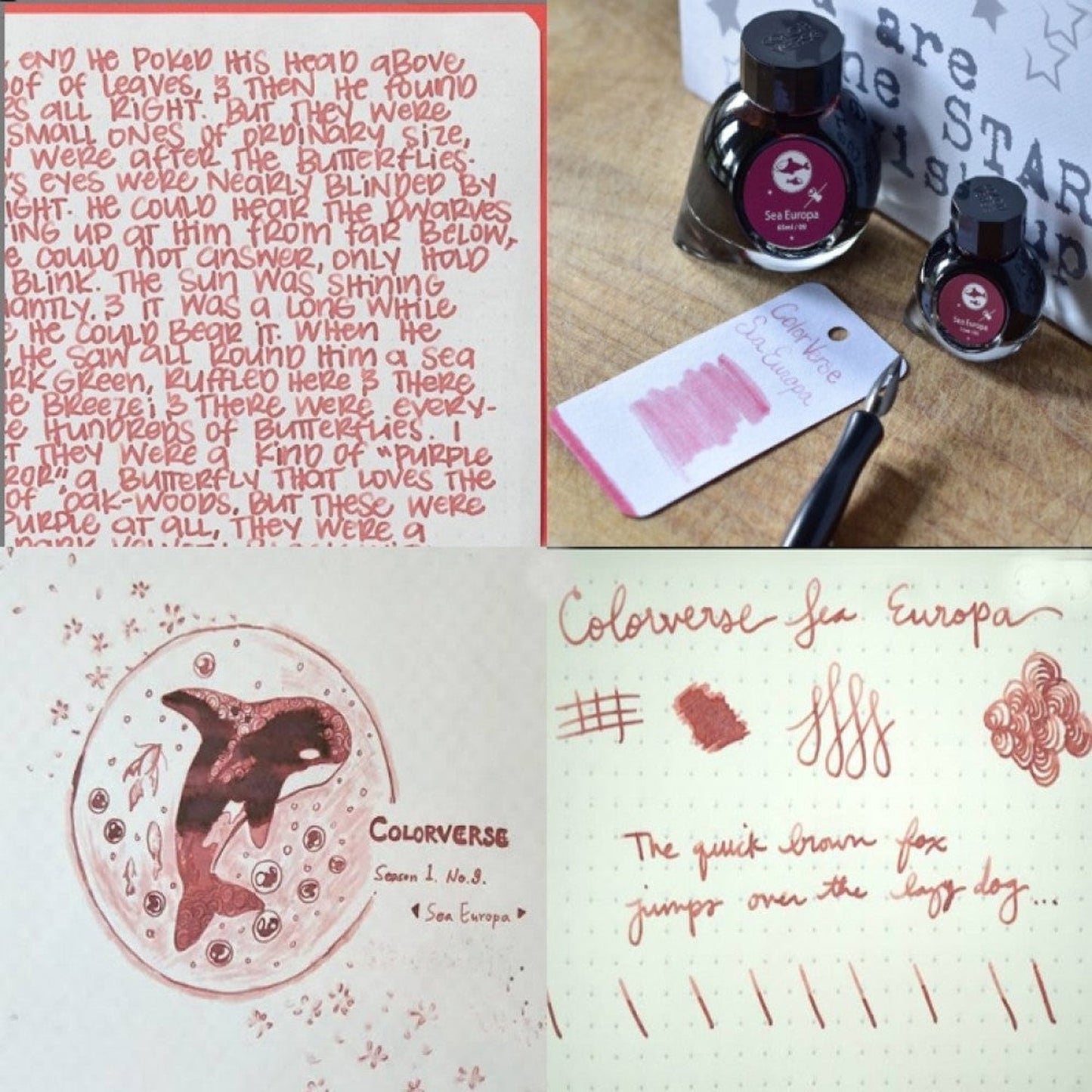 Colorverse Spaceward Season 1 Ink Bottle Set (Sea Europa - 65 ML/15 ML) S-9