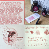 Colorverse Spaceward Season 1 Ink Bottle Set (Sea Europa - 65 ML/15 ML) S-9