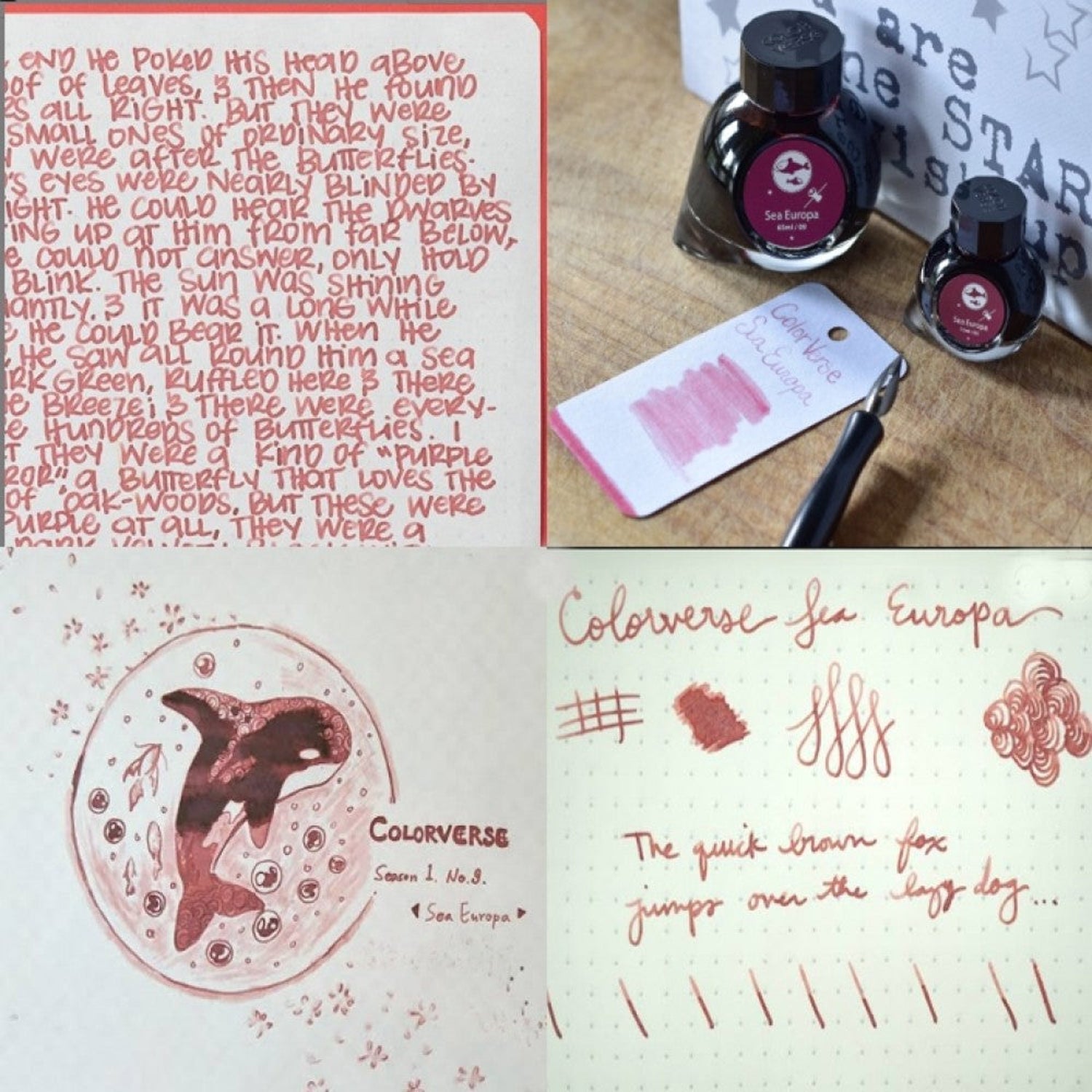 Colorverse Spaceward Season 1 Ink Bottle Set (Sea Europa - 65 ML/15 ML) S-9