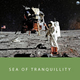 Colorverse Spaceward Season 1 Ink Bottle Set (Sea Of Tranquility - 65 ML/15 ML) S-10