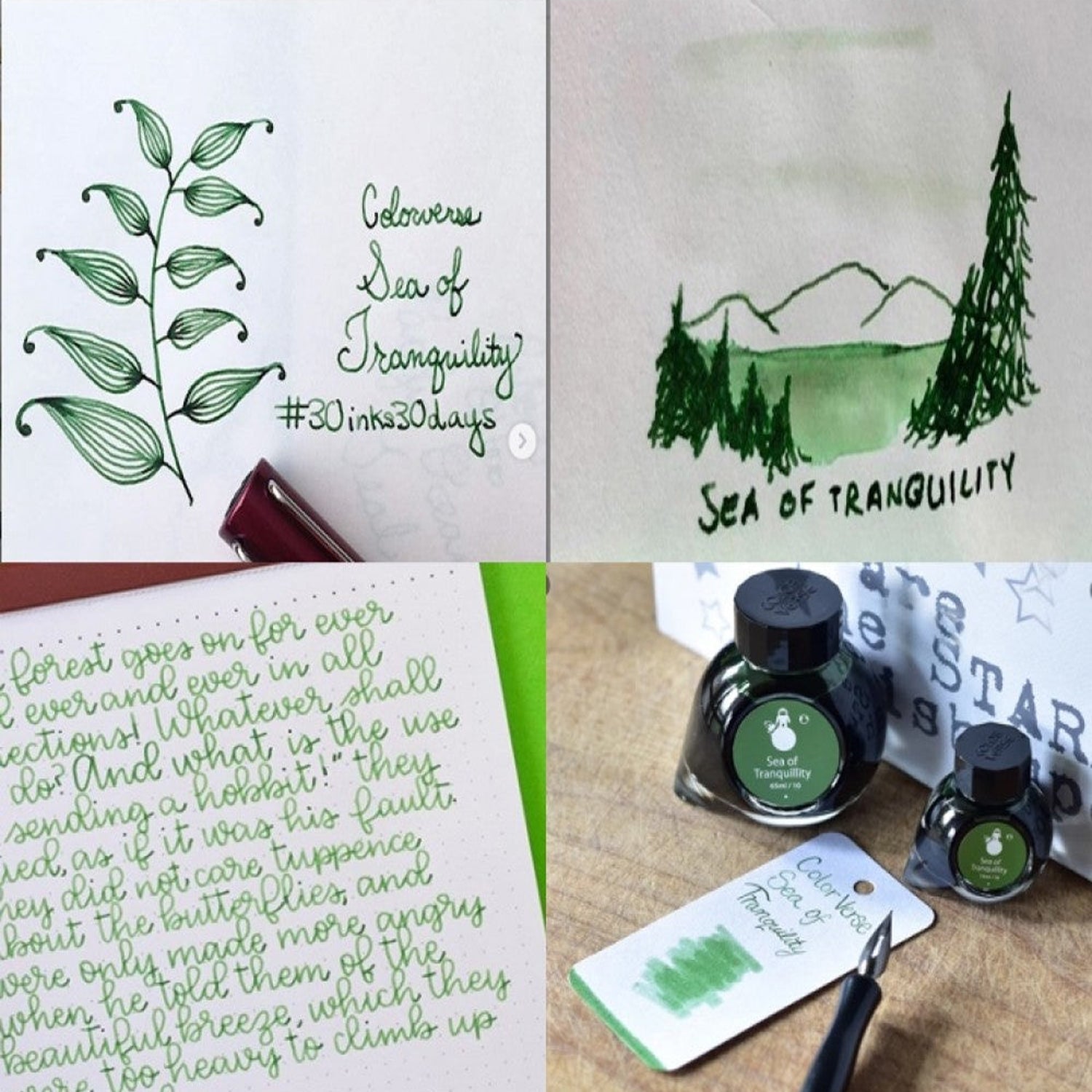 Colorverse Spaceward Season 1 Ink Bottle Set (Sea Of Tranquility - 65 ML/15 ML) S-10