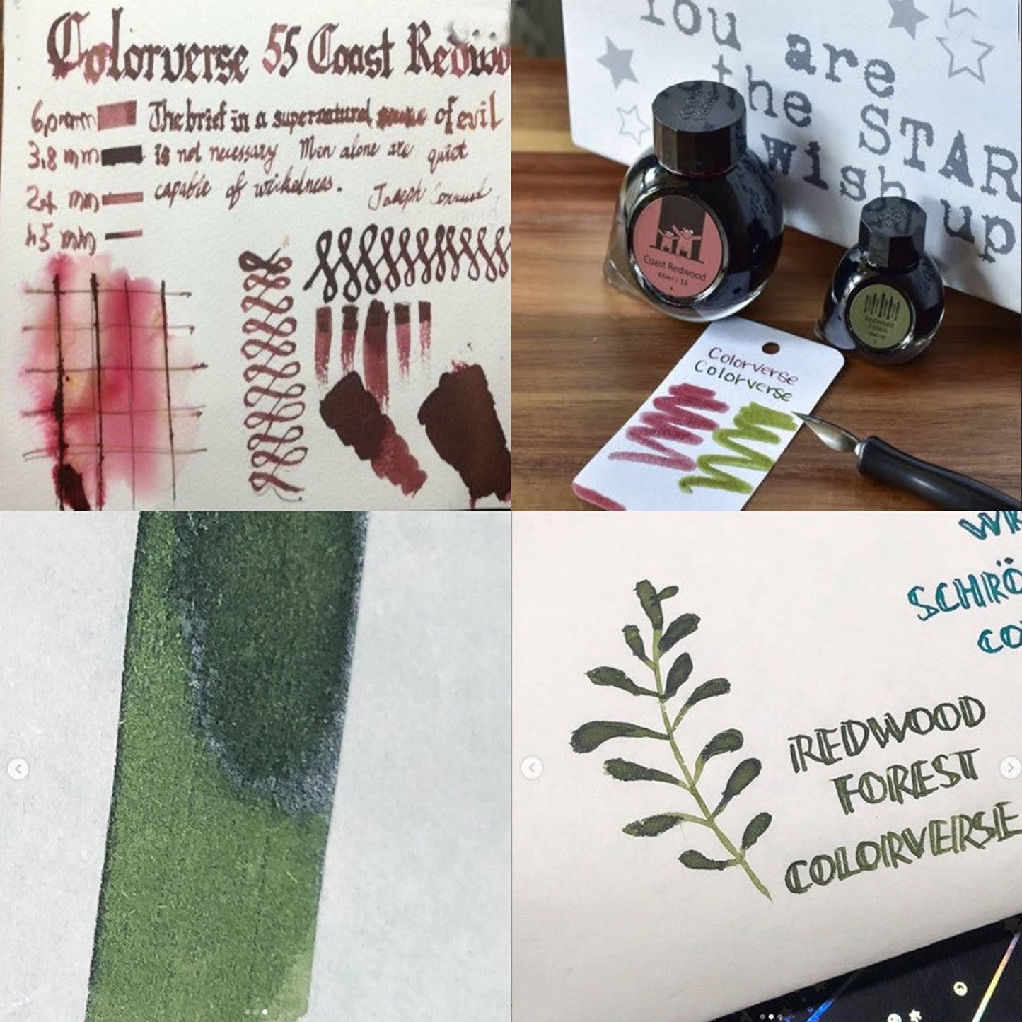 Colorverse Wisdom of Trees Ink Bottle Set (Coast Redwood/Redwood Forest - 65 ML/15 ML) W-55/56