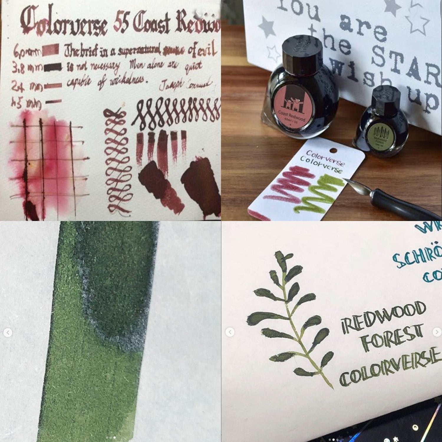 Colorverse Wisdom of Trees Ink Bottle Set (Coast Redwood/Redwood Forest - 65 ML/15 ML) W-55/56