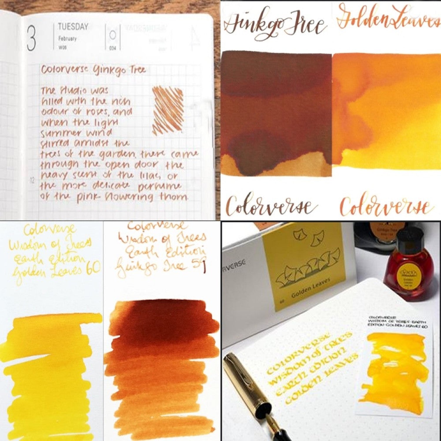 Colorverse Wisdom of Trees Ink Bottle Set (Ginkgo Tree/Golden Leaves - 65 ML/15 ML) W-59/60