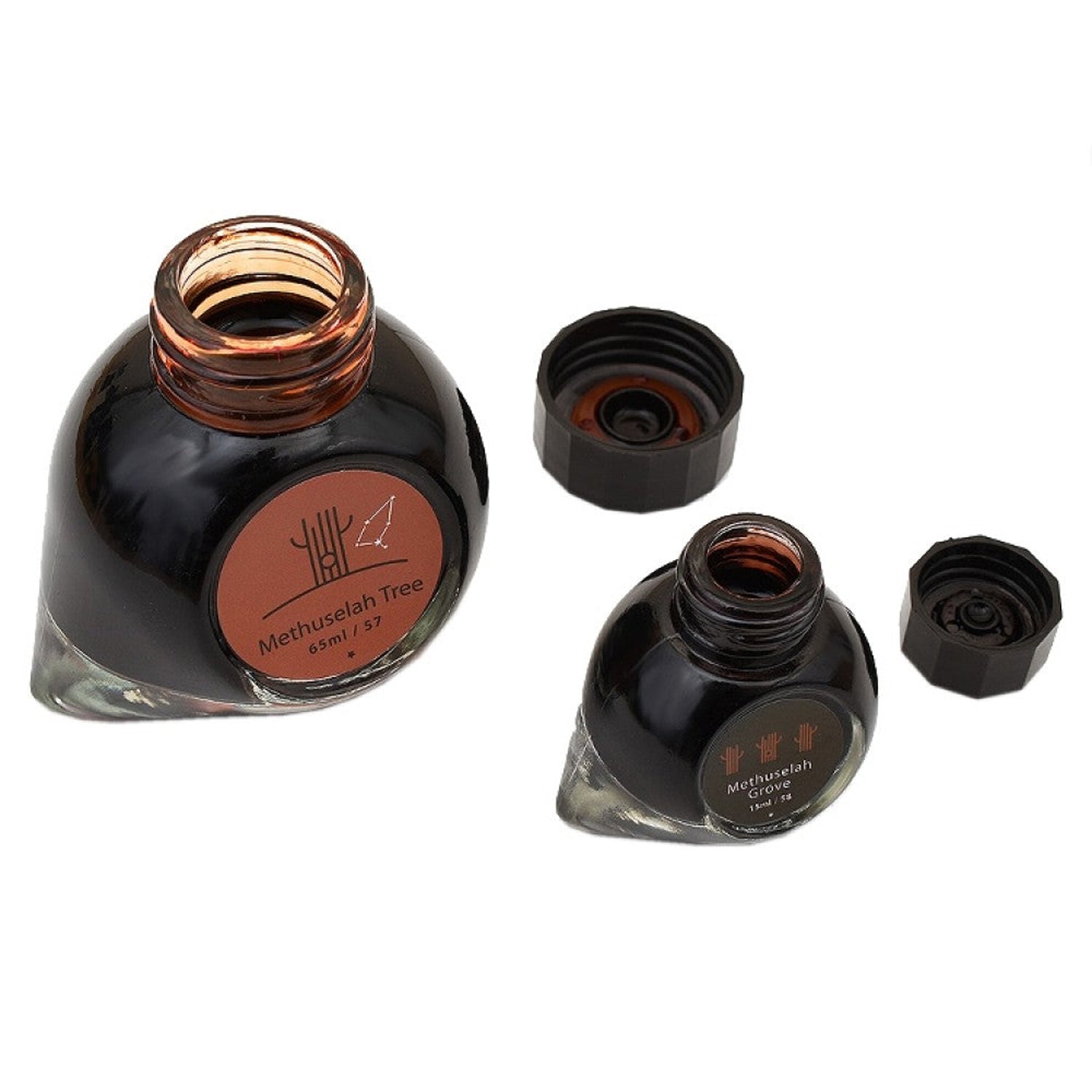 Colorverse Wisdom of Trees Ink Bottle Set (Methuselah Tree/Methuselah Grove - 65 ML/15 ML) W-57/58