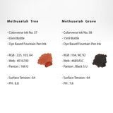 Colorverse Wisdom of Trees Ink Bottle Set (Methuselah Tree/Methuselah Grove - 65 ML/15 ML) W-57/58