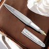 Diplomat Zepp CT Fountain Pen (Limited Edition)