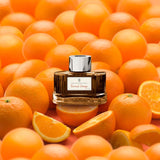 Graf von Faber-Castell Ink Bottle (Burned Orange - 75 ML) 141011