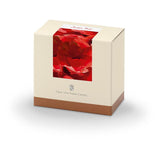 Graf von Faber-Castell Ink Bottle (India Red - 75 ML) 141019