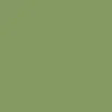 Hongdian Non Carbon Ink Bottle (Green Olive - 60 ML) 60ML22