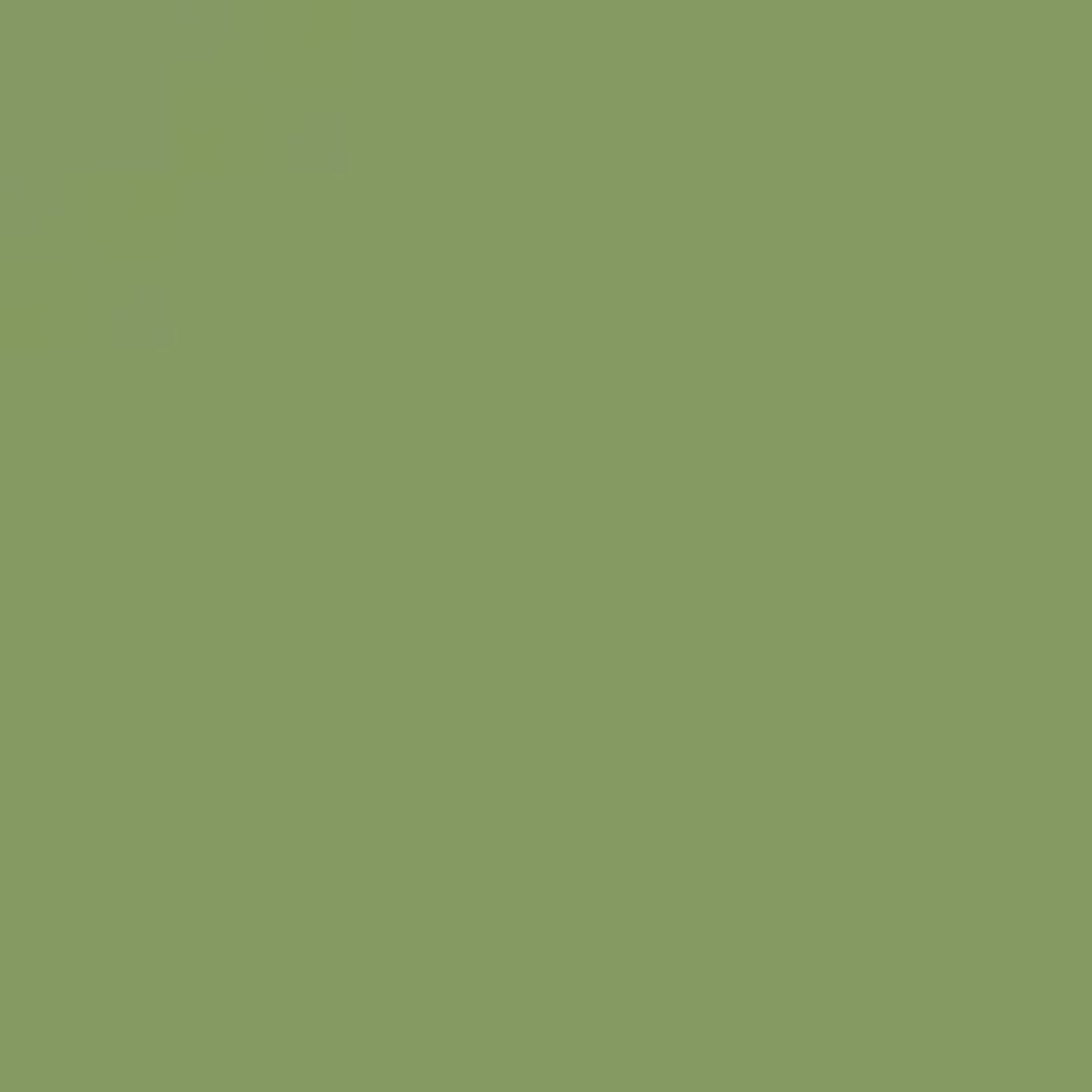 Hongdian Non Carbon Ink Bottle (Green Olive - 60 ML) 60ML22