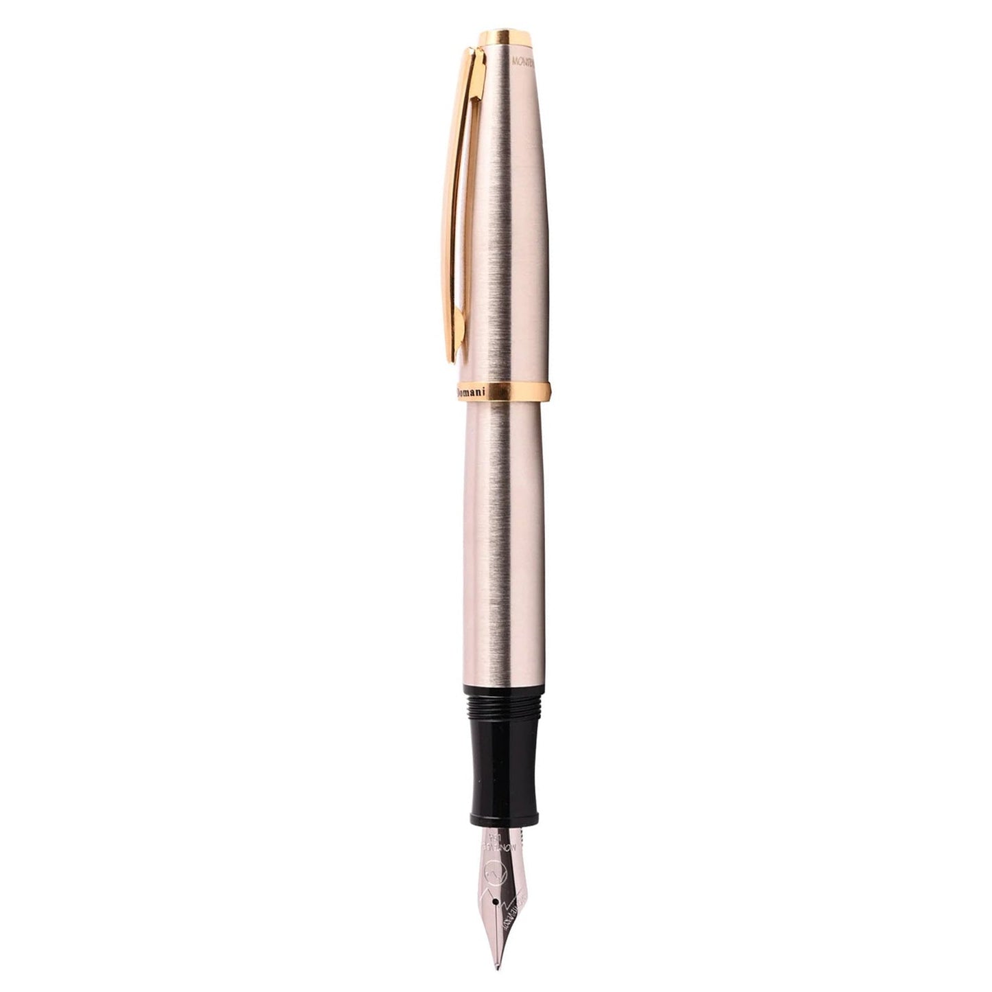 Monteverde Aldo Domani Brushed Steel GT Fountain Pen
