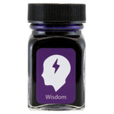 Monteverde Emotions Ink Bottle (Wisdom Purple - 30 ML) G309WP