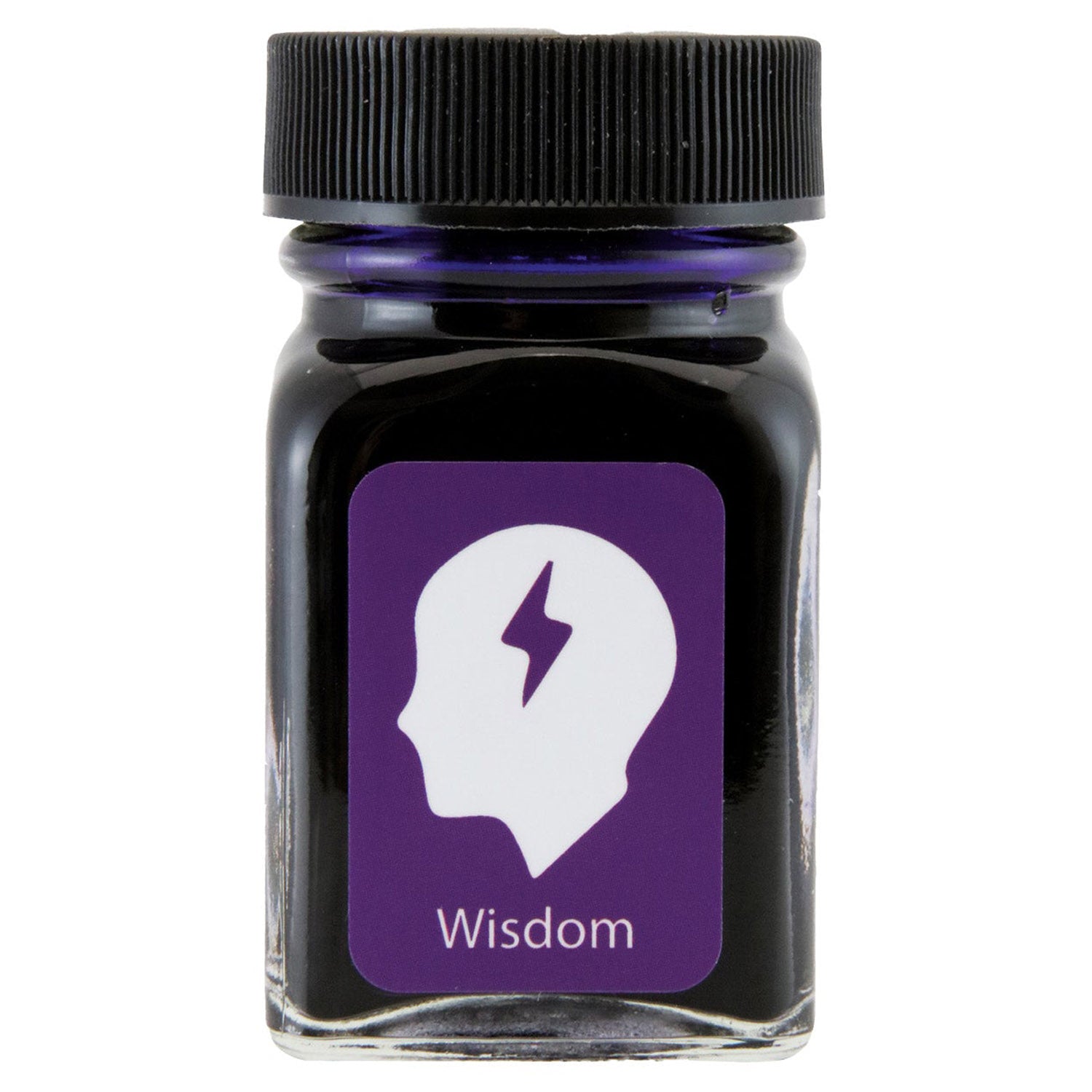 Monteverde Emotions Ink Bottle (Wisdom Purple - 30 ML) G309WP