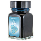 Monteverde Sweet Life Ink Bottle (Iced Cookies - 30 ML) G309CK