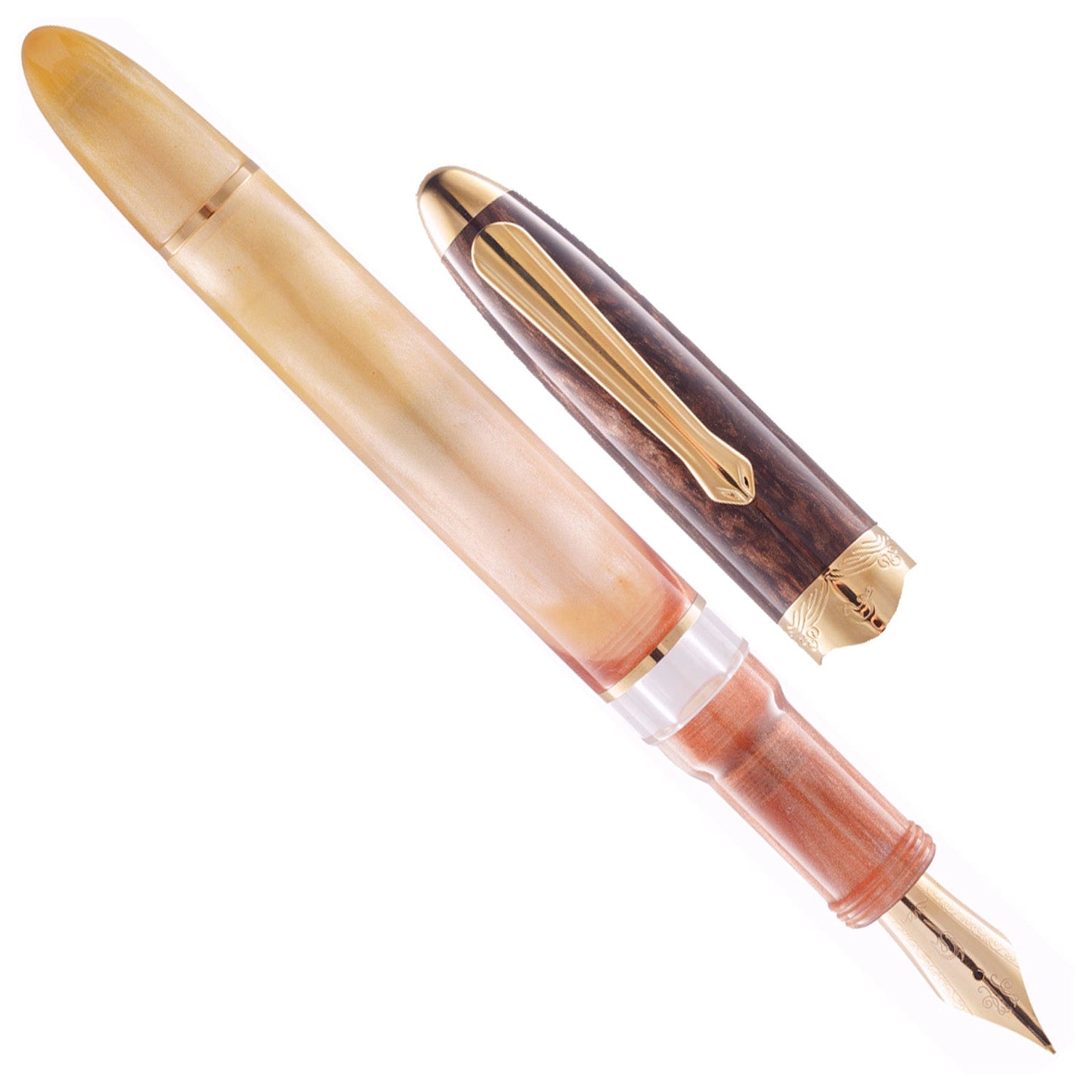 Nahvalur Horizon Desert GT Fountain Pen