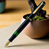 Pelikan Classic M200 Black Fountain Pen
