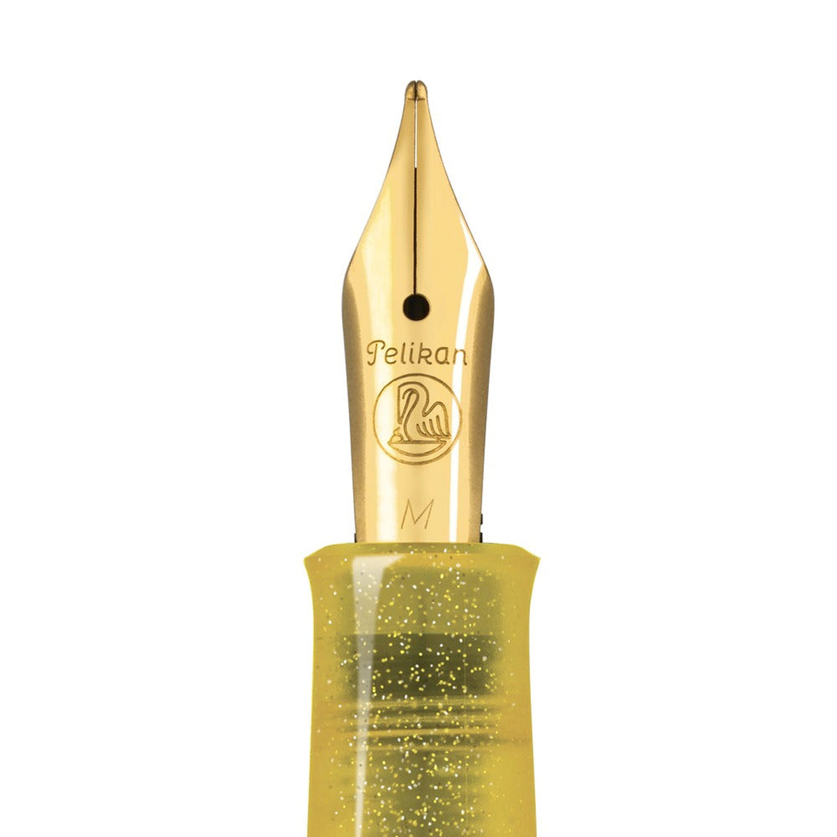 Pelikan Classic M200 Pyrite Fountain Pen Set (Special Edition)