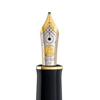 Pelikan M600 Nib Unit