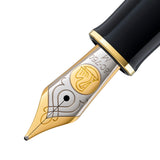 Pelikan M800/900 Nib Unit