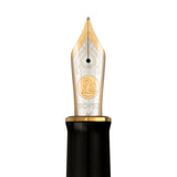 Pelikan Souveran M1000 Raden Stardust Fountain Pen (Limited Edition)