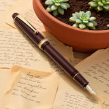Pilot Custom 74 Dark Red GT Fountain Pen