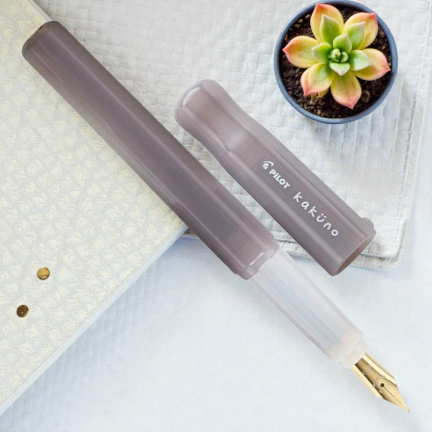 Pilot Kakuno Gray Fountain Pen