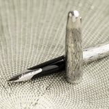 Pilot Silvern Tsumugi CT Fountain Pen