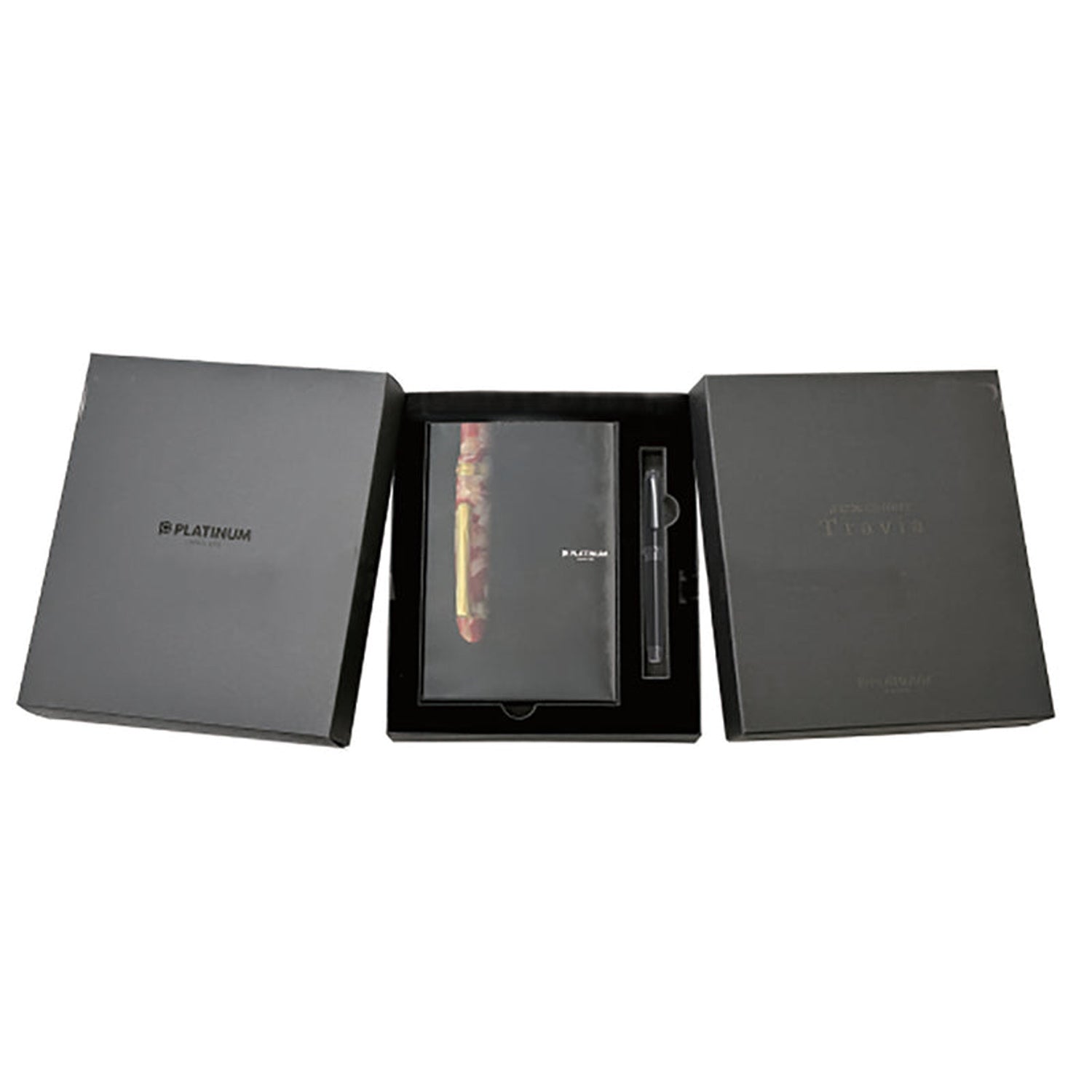 Platinum #3776 Century Travia Onxs Black RT Fountain Pen (Limited Edition)