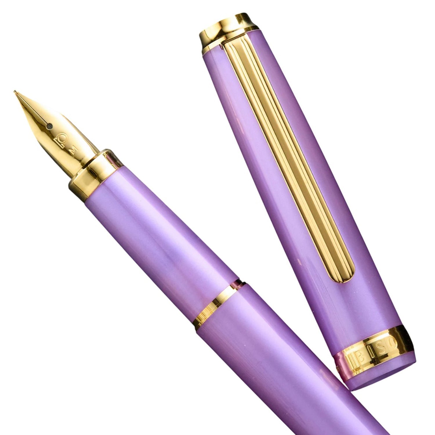 Platinum Biso Mystic Purple GT Fountain Pen (Limited Edition)