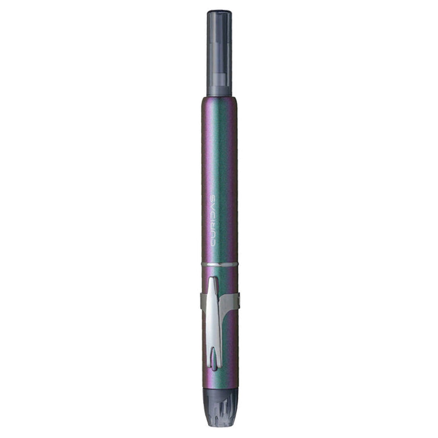 Platinum Curidas Labradorite CT Fountain Pen (Limited Edition)
