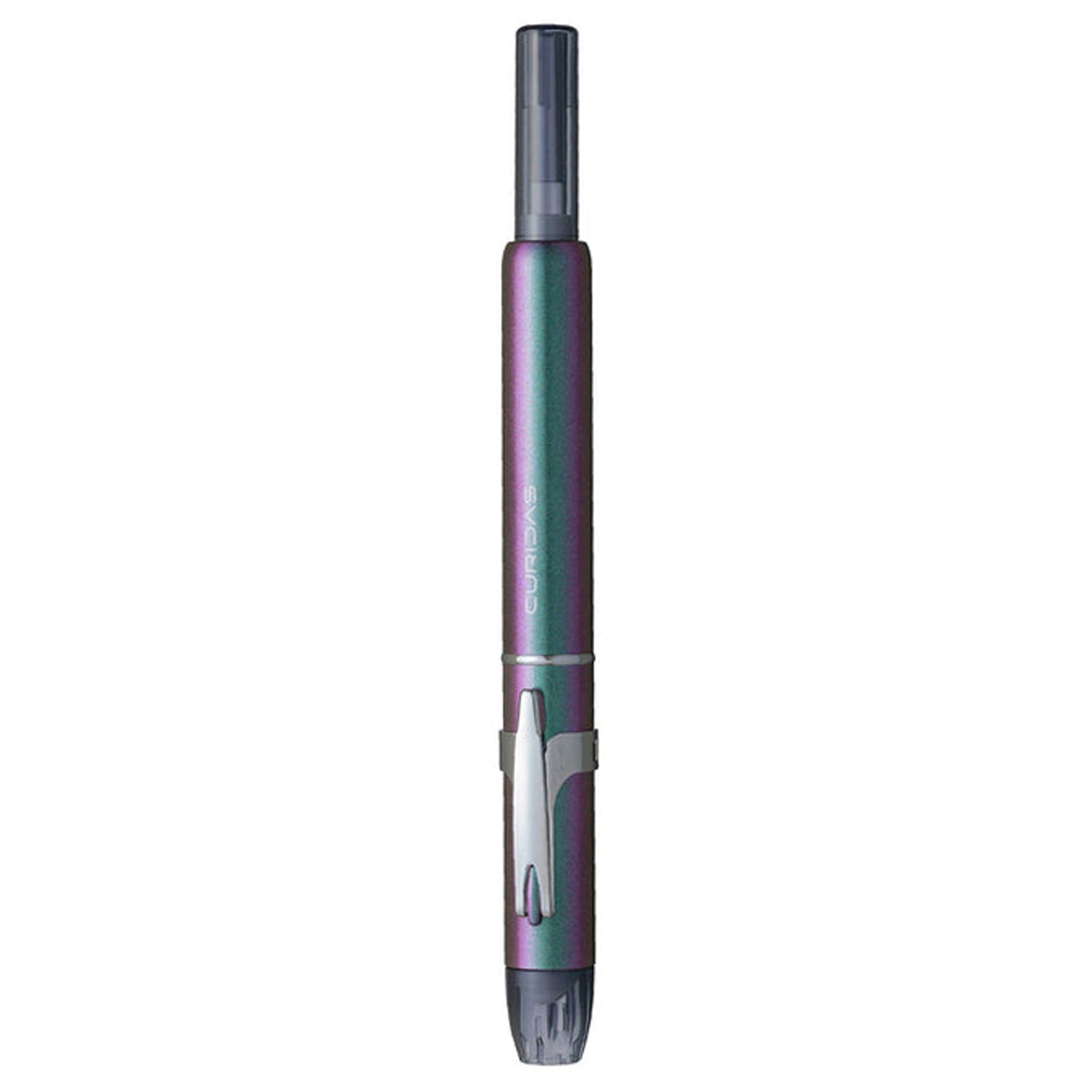 Platinum Curidas Labradorite CT Fountain Pen (Limited Edition)