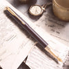 Parker Aster Matte Brown GT Fountain Pen