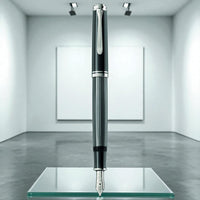 Stresemann Anthracite