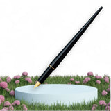 Platinum Desk Black Fountain Pen DPQ700A1