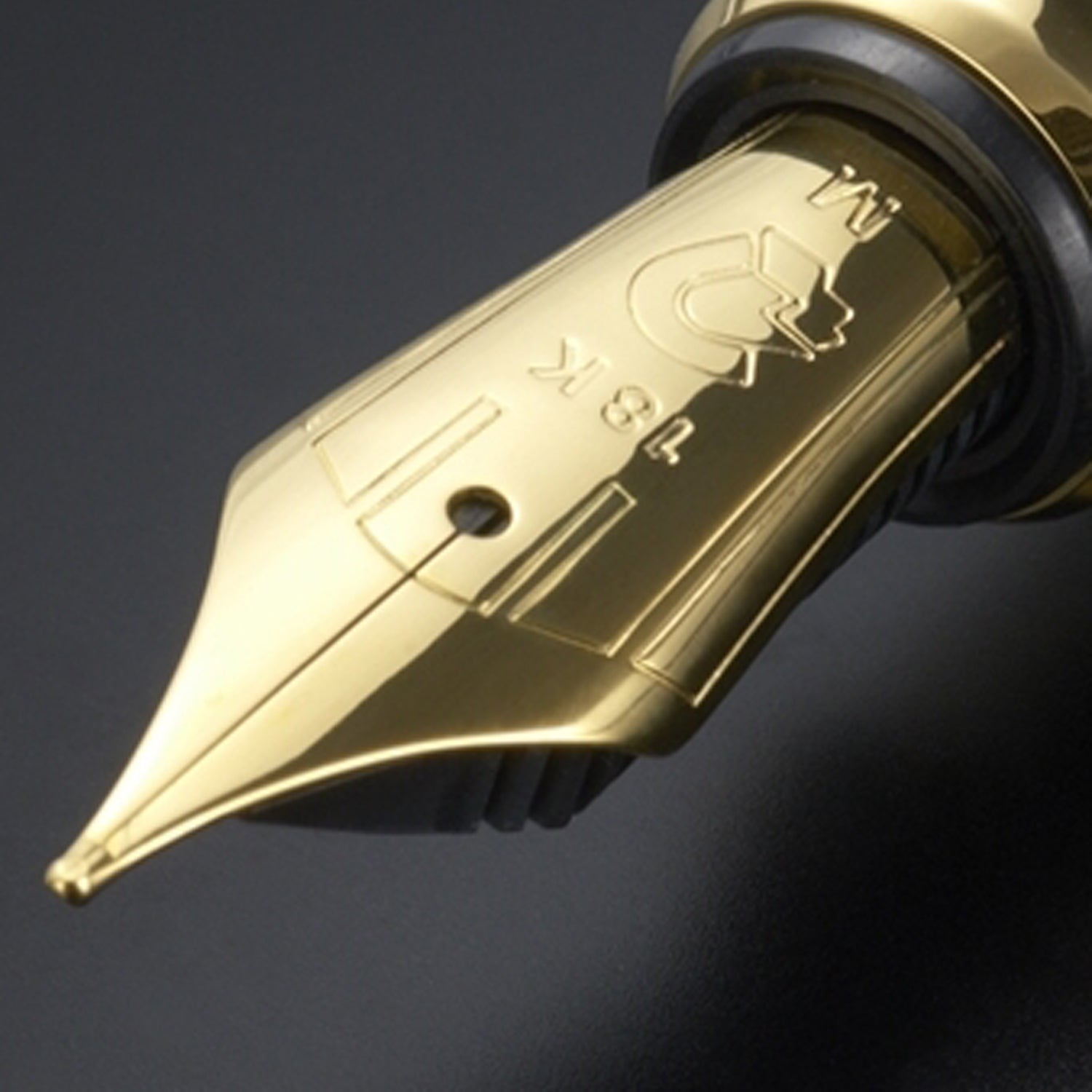 Staedtler Premium Eminentes Albertus Durerus Noricus GT Fountain Pen (Limited Edition)