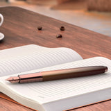 sheaffer-100-coffee-edition-matte-brown-pvd-fountain-pen-limited edition