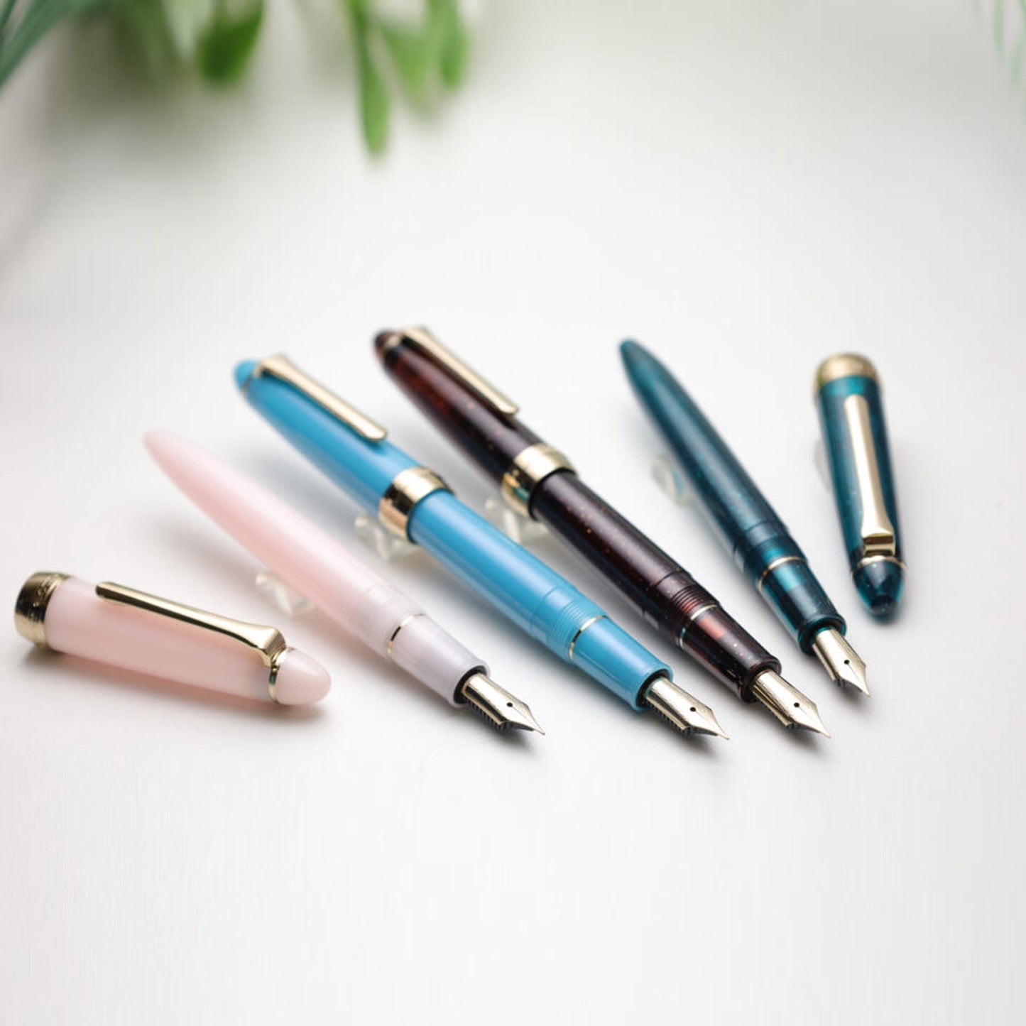 Sailor 1911 Casual Shikiori Kusa Asobi Tsurubami Fountain Pen (Special Edition)